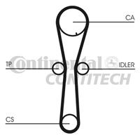 Zahnriemen Contitech CT954