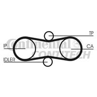 continentalctam Zahnriemen | CONTINENTAL CTAM (CT914)