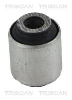 Lagerung, Lenker Hinterachse oben Triscan 8500 10874
