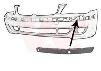 bmw Plaat, bumper