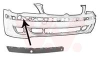 bmw Plaat, bumper