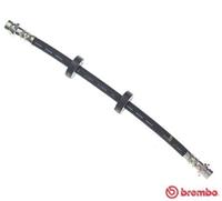 Bremsschlauch Hinterachse Brembo T 24 020