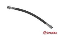 BREMBO Bremsschläuche T 11 017 Bremsschlauch PEUGEOT,CITROËN,DS,5008,PARTNER Tepee,PARTNER Kasten,BERLINGO B9,C4 Picasso I UD_,C4 Grand Picasso I UA_