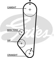 GATES Zahnriemen 5224XS Steuerriemen FORD,FIESTA I GFBT,ESCORT III GAA,ESCORT III Cabriolet ALD,ESCORT III Kombi AWA,ORION I AFD