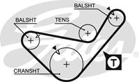 GATES Zahnriemen 5436XS Steuerriemen HYUNDAI,KIA,MITSUBISHI,TERRACAN HP,GALLOPER II JK-01,H-1 Kasten,H-1 / STAREX,GALLOPER I,H100 Bus P,H100 Kasten