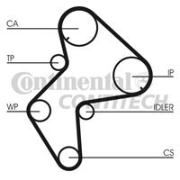 CONTITECH Zahnriemen CT772 Steuerriemen FIAT,PEUGEOT,CITROËN,ULYSSE 220,406 Break 8E/F,406 8B,806 221,605 6B,XM Y4,XANTIA X1,EVASION 22, U6,XM Y3