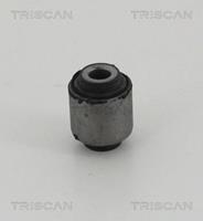 Lagerung, Lenker Hinterachse oben hinten Triscan 8500 18804