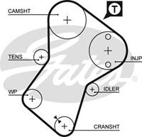 GATES Zahnriemen 5049XS Steuerriemen FIAT,PEUGEOT,HYUNDAI,DUCATO Pritsche/Fahrgestell 230,DUCATO Bus 230,DUCATO Kasten 230L,ULYSSE 220