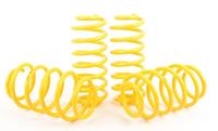 Fiat ST Suspensions verlagingsveren