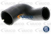 Ladeluftschlauch unten Vaico V24-0699