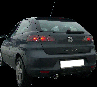 100% RVS Sportuitlaat Seat Ibiza 6L 1.4 TDi (75pk) 2002- 120x80mm