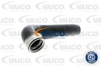 VAICO Ladeluftschlauch V30-2245  MERCEDES-BENZ,VIANO W639,VITO Bus W639,VITO / MIXTO Kasten W639