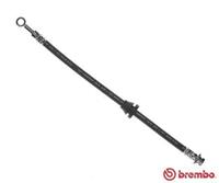 BREMBO Bremsschläuche T 10 003 Bremsschlauch CHEVROLET,DAEWOO,KALOS,AVEO Schrägheck T250, T255,AVEO Stufenheck T250, T255,KALOS Stufenheck,KALOS KLAS