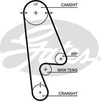 GATES Zahnriemen 5480XS Steuerriemen HONDA,ACCORD VI CG, CK,ACCORD VI Hatchback CH,ACCORD VI Coupe CG,ACCORD V CE, CF,SHUTTLE RA,ODYSSEY RB_