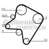 Zahnriemen Contitech CT762