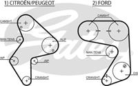 GATES Zahnriemen 5248XS Steuerriemen FORD,PEUGEOT,CITROËN,ESCORT VII GAL, AAL, ABL,SIERRA GBG, GB4,ESCORT VI GAL,SIERRA Schrägheck GBC, GBG