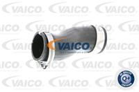VAICO Ladeluftschlauch V10-2836  VW,AUDI,SHARAN 7M8, 7M9, 7M6,TOUAREG 7LA, 7L6, 7L7,TOUAREG 7P5,Q7 4L