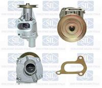 salerisil Wasserpumpe, Motorkühlung Saleri Sil PA693P