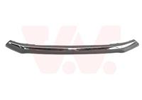 toyota Plaat, bumper