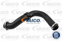 VAICO Ladeluftschlauch V25-1021  FORD,FOCUS II Kombi DA_,FOCUS II DA_,FOCUS C-MAX,C-MAX DM2,FOCUS II Stufenheck DA_
