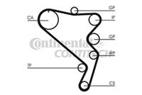 continentalctam Zahnriemen | CONTINENTAL CTAM (CT1120)