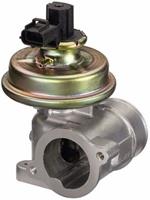 ford EGR klep