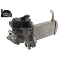 Volkswagen EGR klep