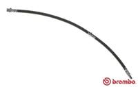Bremsschlauch Hinterachse Brembo T 06 037