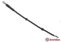 BREMBO Bremsschläuche T 06 053 Bremsschlauch BMW,5 E60,5 Touring E61