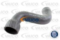 VAICO Ladeluftschlauch V10-3826  AUDI,SEAT,A4 Avant 8ED, B7,A4 Avant 8E5, B6,A4 8E2, B6,A4 Cabriolet 8H7, B6, 8HE, B7,A4 8EC, B7,EXEO ST 3R5