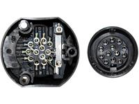 tfastecker TFA Stecker 88005 Aanhangerstopcontact [ - Stekkerdoos, 13-polig] Kunststof