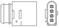 magnetimarelli MAGNETI MARELLI Lambdasonde 466016355034 Lambda Sensor,Regelsonde VW,SKODA,SEAT,POLO 9N_,POLO 6R, 6C,FABIA Combi 6Y5,FABIA,FABIA 6Y2,FABIA Combi