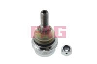 FAG Traggelenk 825 0167 10 Achsgelenk,Führungsgelenk OPEL,RENAULT,NISSAN,MOVANO Kasten F9,MOVANO Combi J9,MOVANO Pritsche/Fahrgestell U9, E9