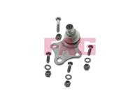 FAG Traggelenk 825 0223 10 Achsgelenk,Führungsgelenk PEUGEOT,CITROËN,PARTNER Combispace 5F,PARTNER Kasten 5,BERLINGO MF,XSARA PICASSO N68