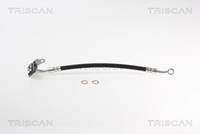 Bremsschlauch Hinterachse links Triscan 8150 18117