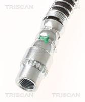 Bremsschlauch Triscan 8150 10228