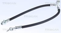 Bremsschlauch Hinterachse rechts Triscan 8150 13284