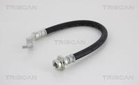 Bremsschlauch Hinterachse Triscan 8150 14253