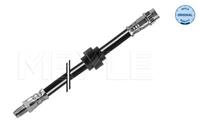 renault Remslang 16145250025