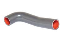 BUGIAD Ladeluftschlauch 88699  HYUNDAI,GETZ TB