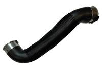 BUGIAD Ladeluftschlauch 81848  NISSAN,QASHQAI J11, J11_