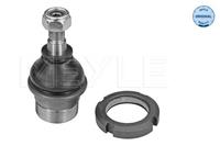 MEYLE Traggelenk 016 010 0022 Achsgelenk,Führungsgelenk MERCEDES-BENZ,M-CLASS W163