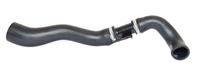 BUGIAD Ladeluftschlauch 88683  FORD,FIESTA V JH_, JD_