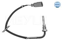 Audi Sensor, uitlaatgastemperatuur