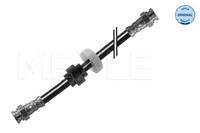 renault Remslang 16145250011