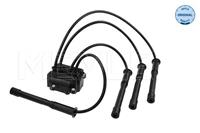 MEYLE Zündspule 16-14 885 0003  RENAULT,NISSAN,TWINGO I C06_,CLIO II BB0/1/2_, CB0/1/2_,KANGOO KC0/1_,KANGOO Express FC0/1_,TWINGO I Kasten S06_