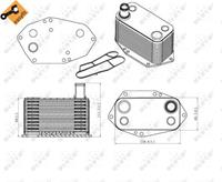 NRF Ölkühler 31307 Ölkühler, Motoröl BMW,3 E46,5 E39,3 Touring E46,5 Touring E39,X5 E53,7 E38