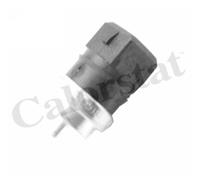 renault Temperatuursensor