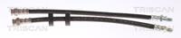 Bremsschlauch Hinterachse Triscan 8150 23217