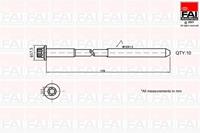 faiautoparts FAI AutoParts Zylinderkopfschraubensatz B1401  OPEL,RENAULT,NISSAN,VIVARO Kasten F7,VIVARO Combi J7,MOVANO Kasten F9,MOVANO Combi J9